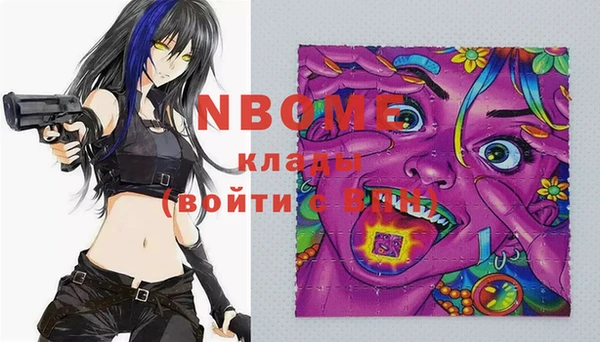 прущие грибы Алзамай