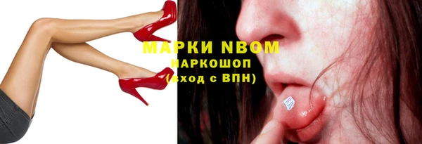 прущие грибы Алзамай