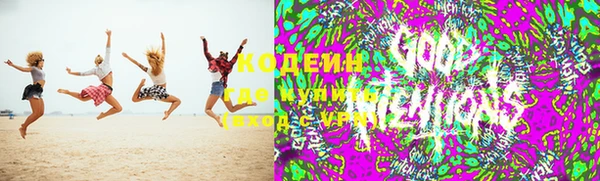 прущие грибы Алзамай