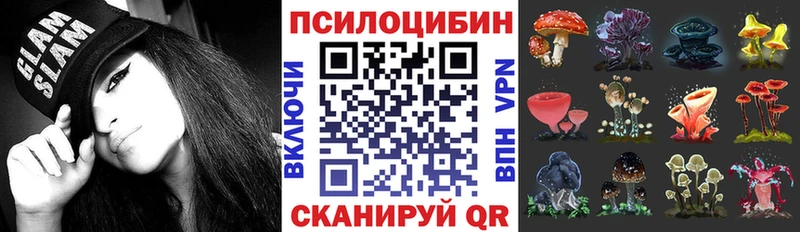 Псилоцибиновые грибы GOLDEN TEACHER  сколько стоит  kraken tor  Апрелевка 